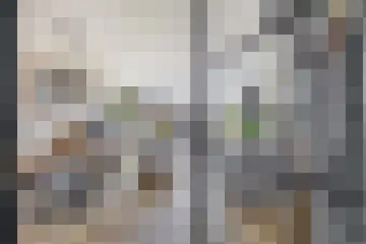 Kruiszwin 3607 Julianadorp thumbnail 5