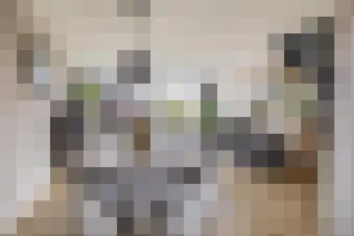 Kruiszwin 3607 Julianadorp thumbnail 6