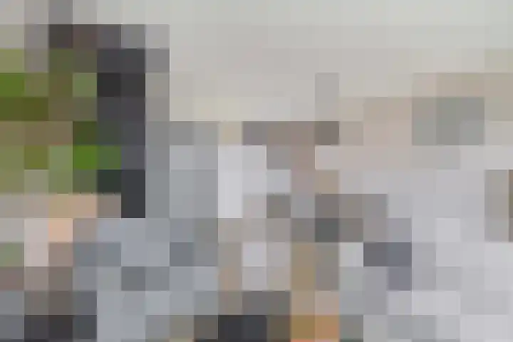 Kruiszwin 3607 Julianadorp thumbnail 7