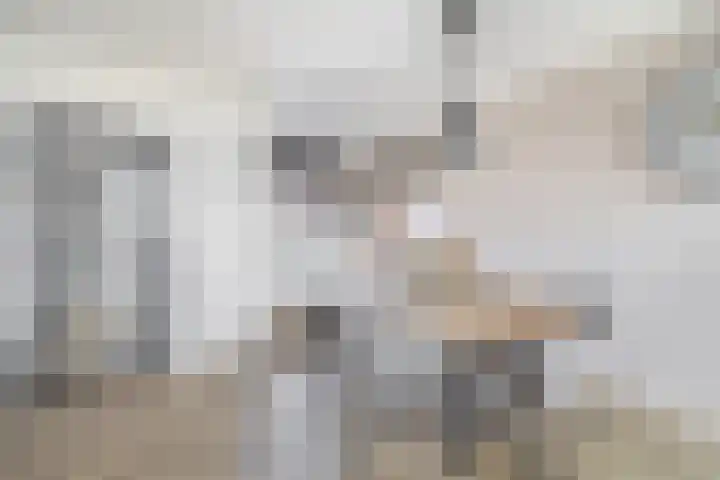 Kruiszwin 3607 Julianadorp thumbnail 8