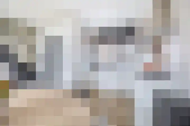 Kruiszwin 3607 Julianadorp thumbnail 9