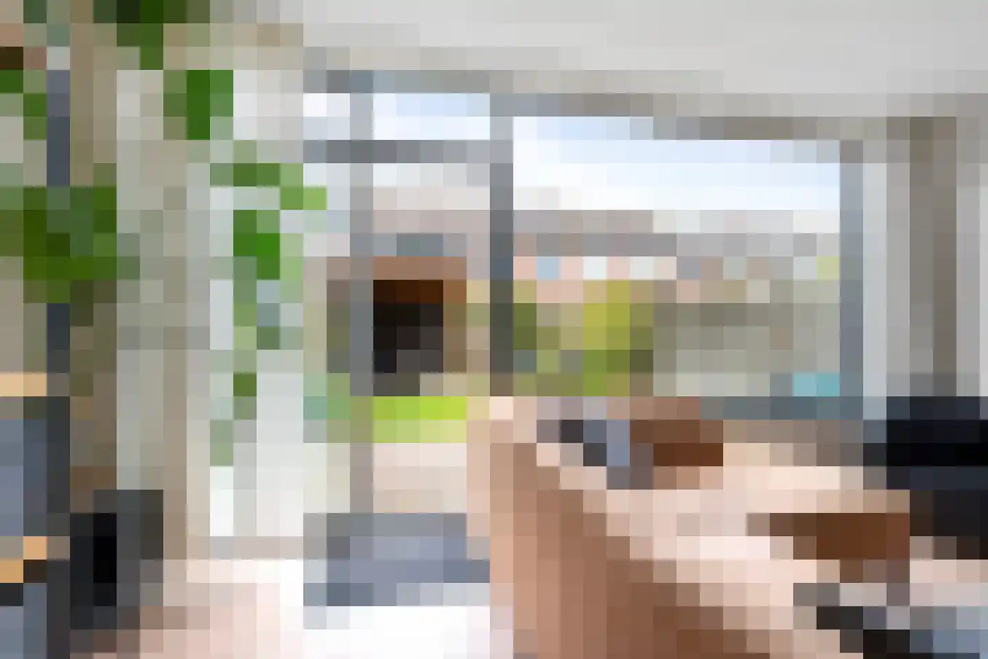 Kruiszwin 3616 Julianadorp thumbnail 17