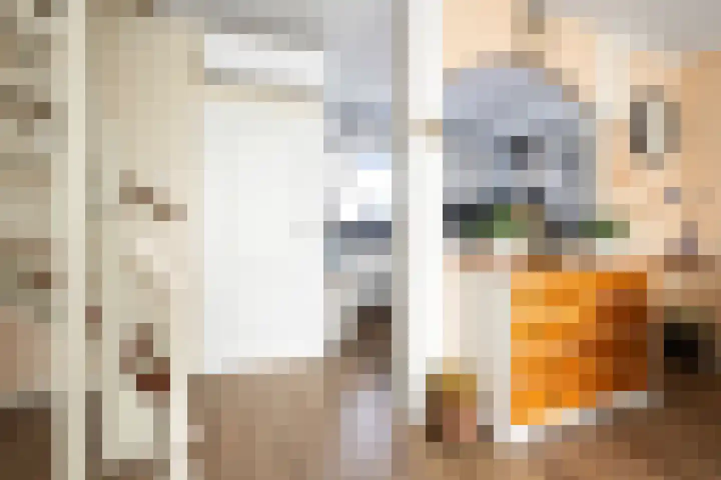 Kruiszwin 3626 Julianadorp thumbnail 10