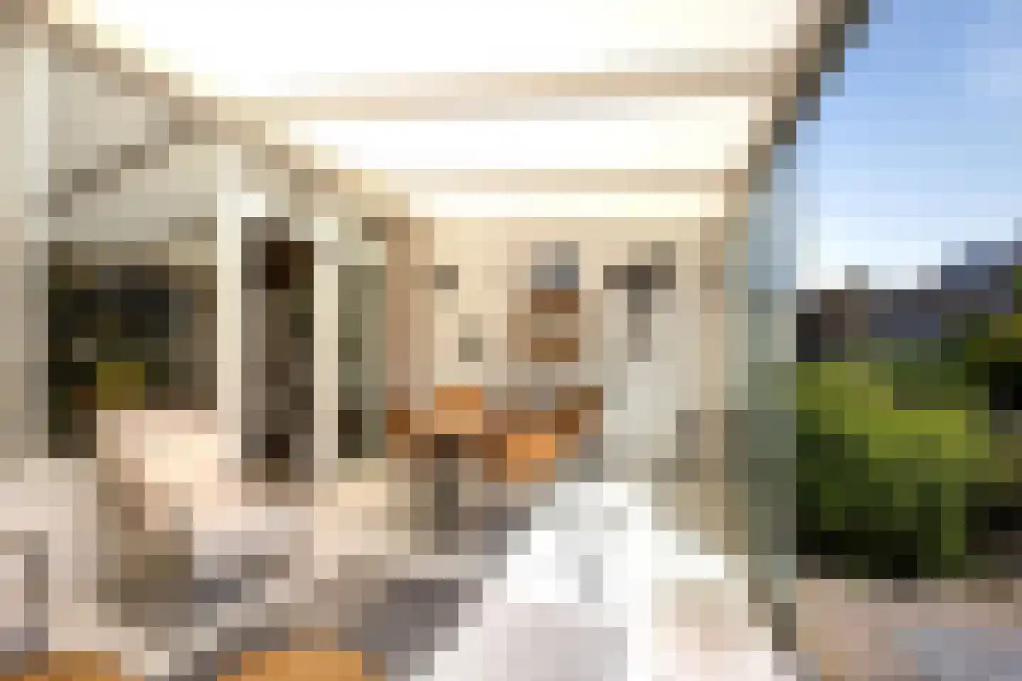 Kruiszwin 3626 Julianadorp thumbnail 17