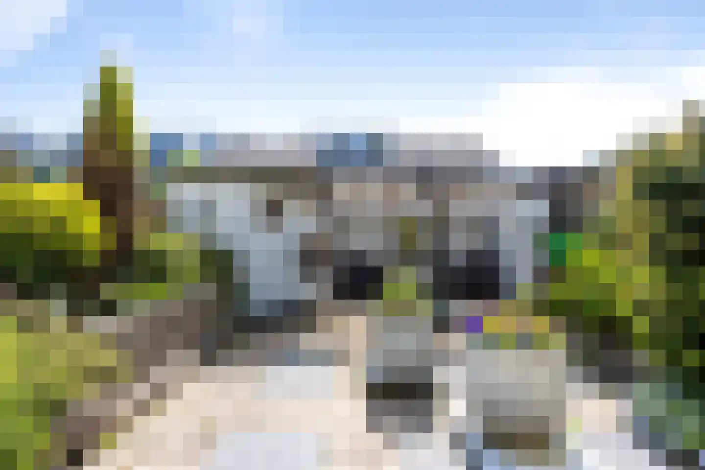 Kruiszwin 3626 Julianadorp thumbnail 20