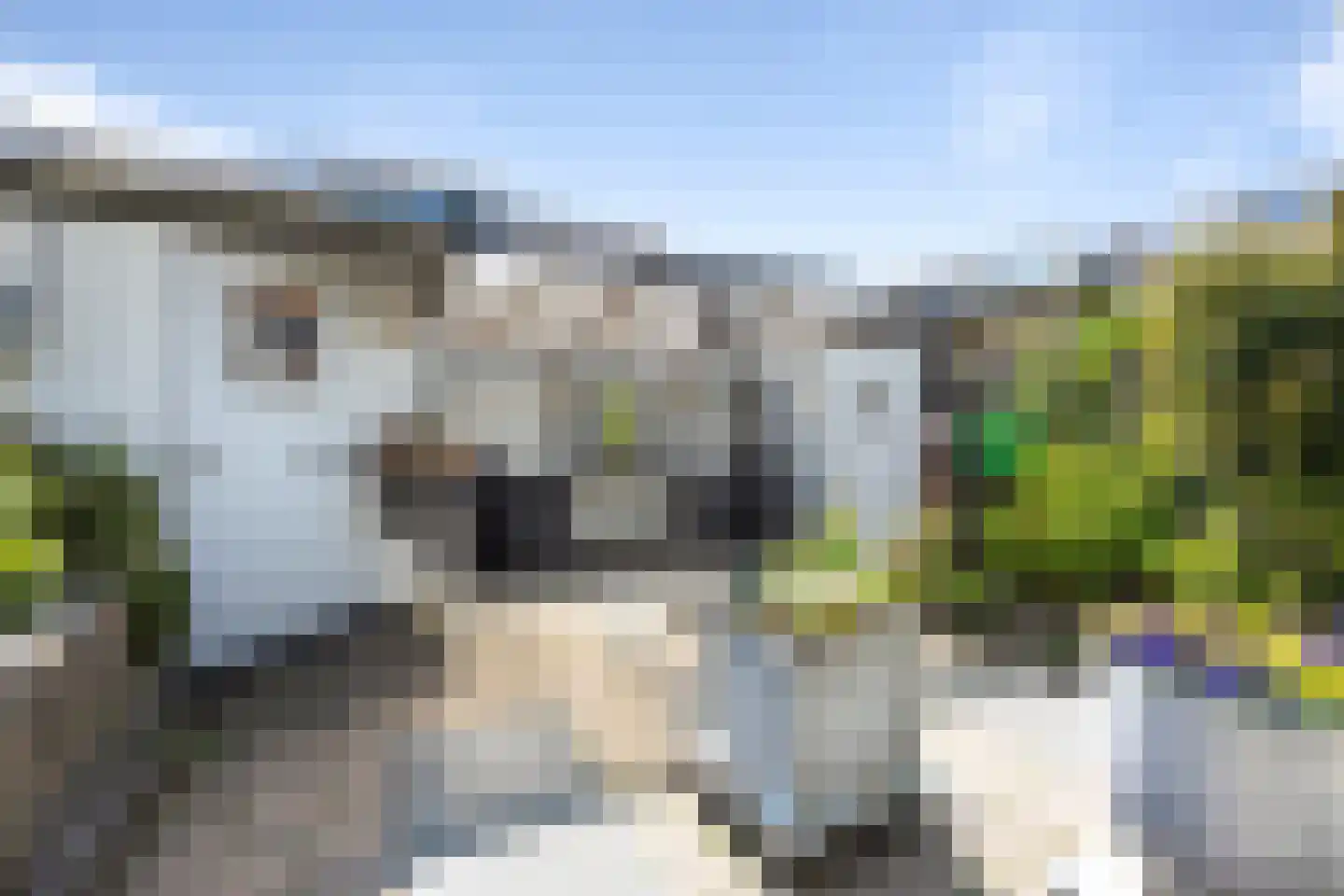 Kruiszwin 3626 Julianadorp thumbnail 21