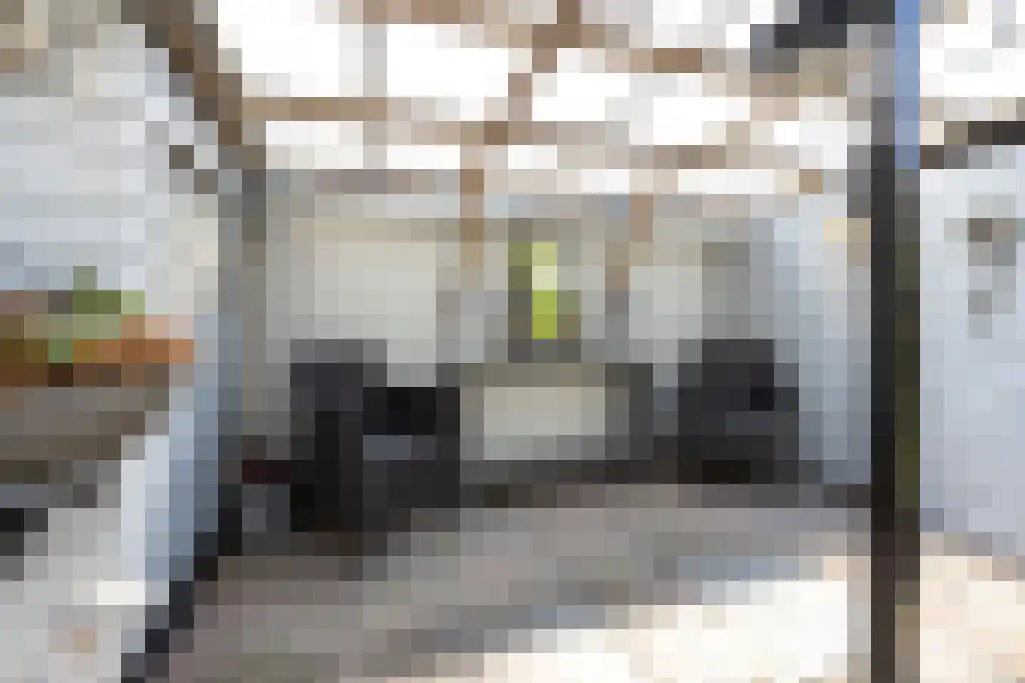Kruiszwin 3626 Julianadorp thumbnail 22