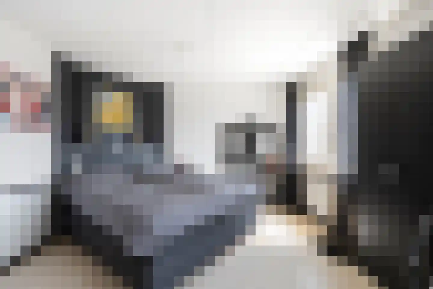 Kruiszwin 3626 Julianadorp thumbnail 25