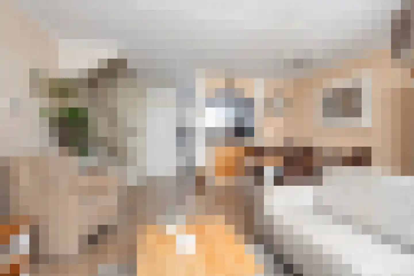 Kruiszwin 3626 Julianadorp thumbnail 7