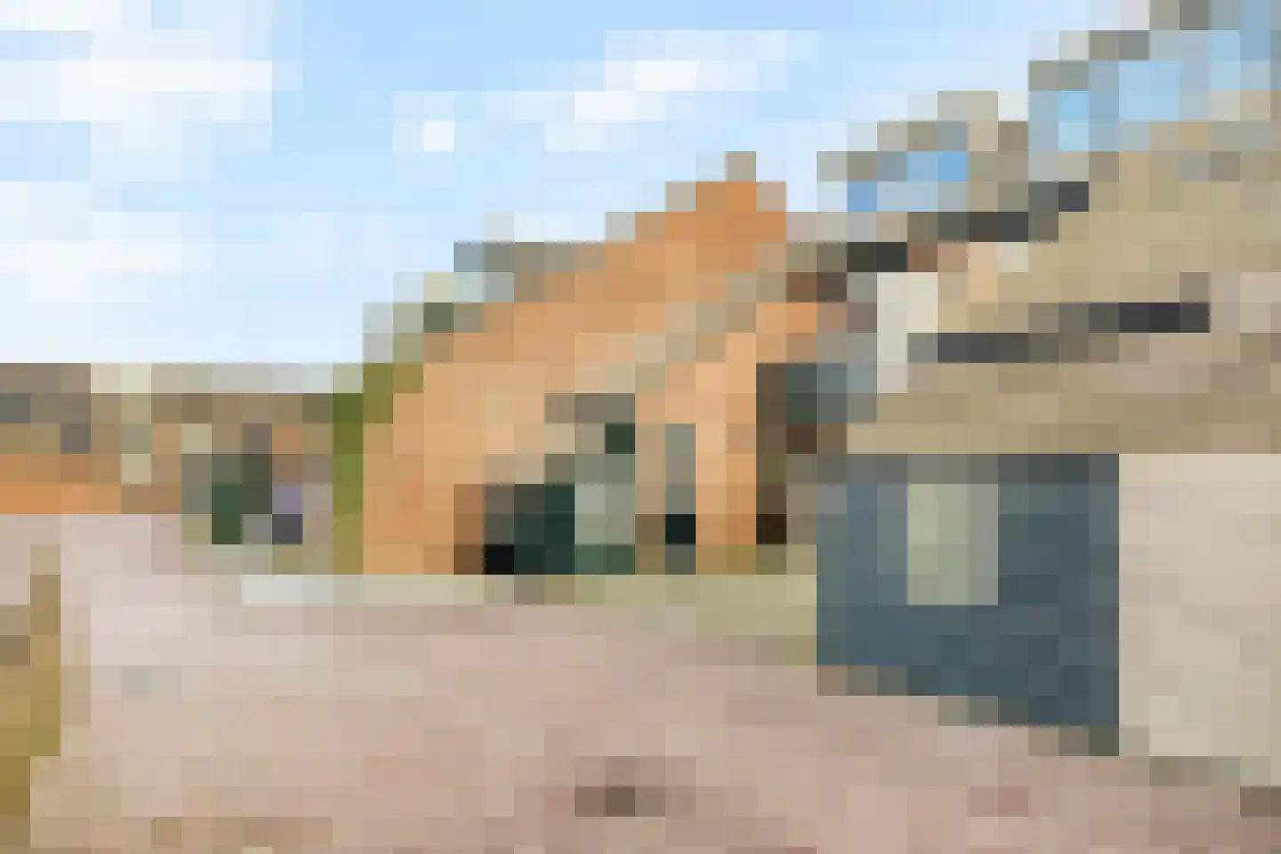 Kruiszwin 3715 Julianadorp thumbnail 10