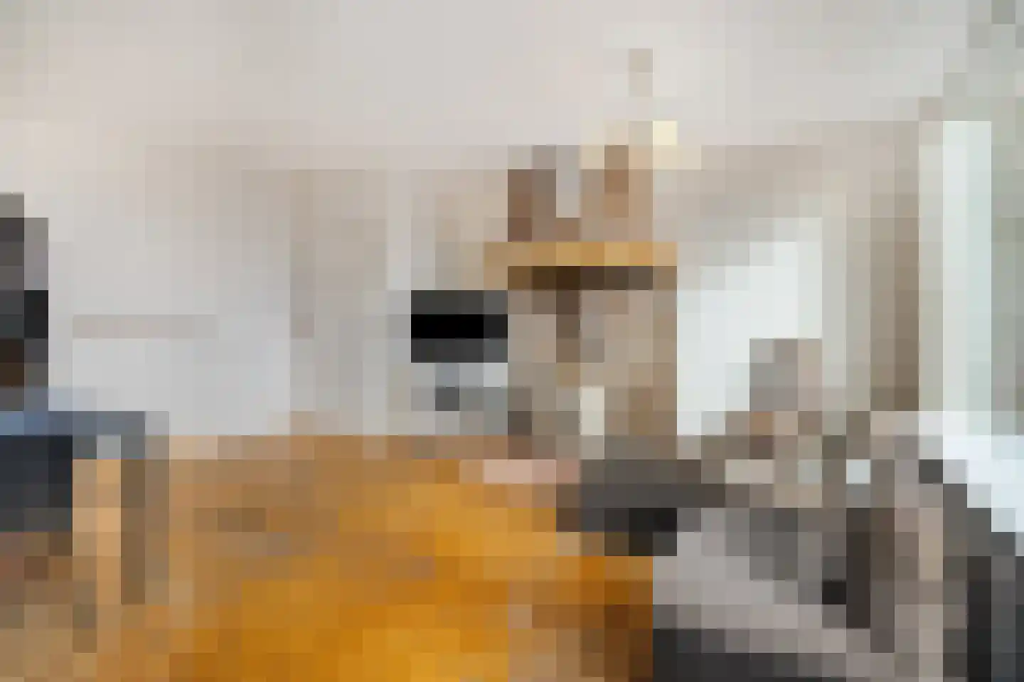 Kruiszwin 3715 Julianadorp thumbnail 19