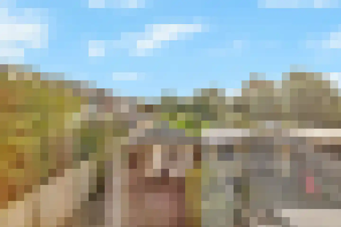 Kruiszwin 3715 Julianadorp thumbnail 32