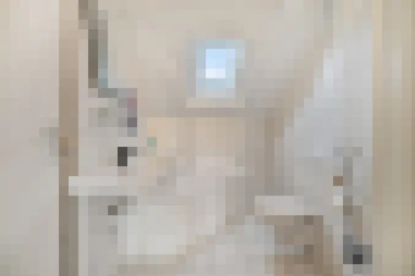 Kruiszwin 3715 Julianadorp thumbnail 33