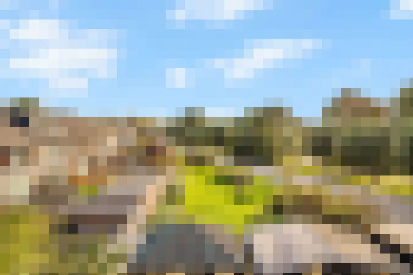 Kruiszwin 3715 Julianadorp thumbnail 42