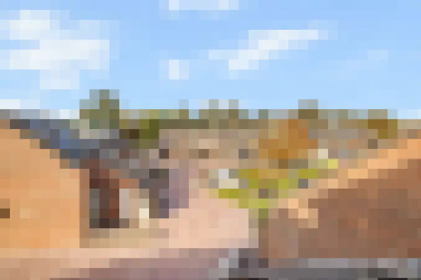 Kruiszwin 3715 Julianadorp thumbnail 43