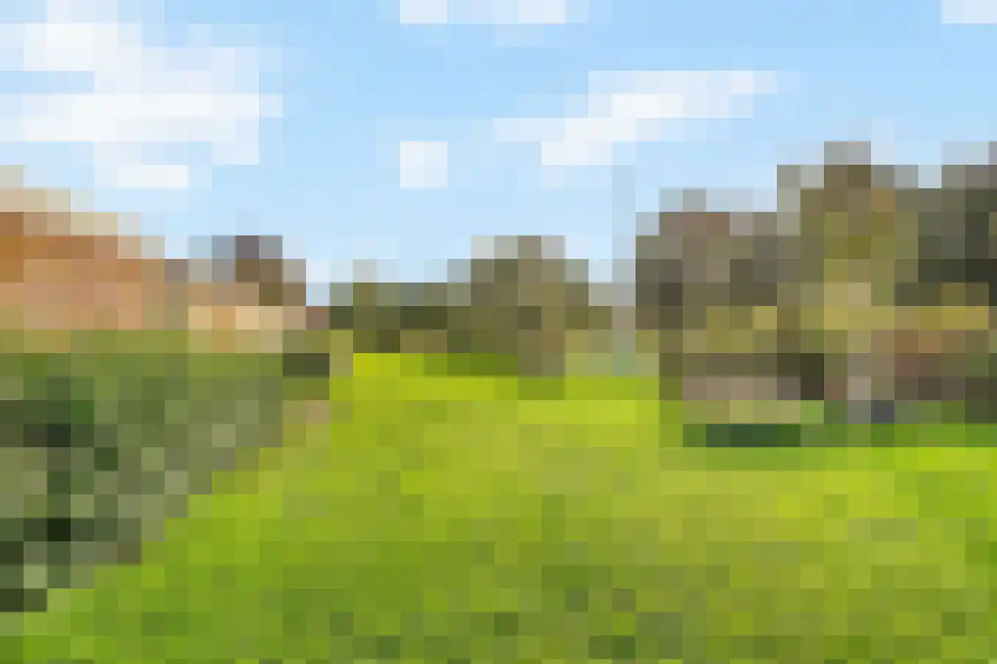 Kruiszwin 3715 Julianadorp thumbnail 45