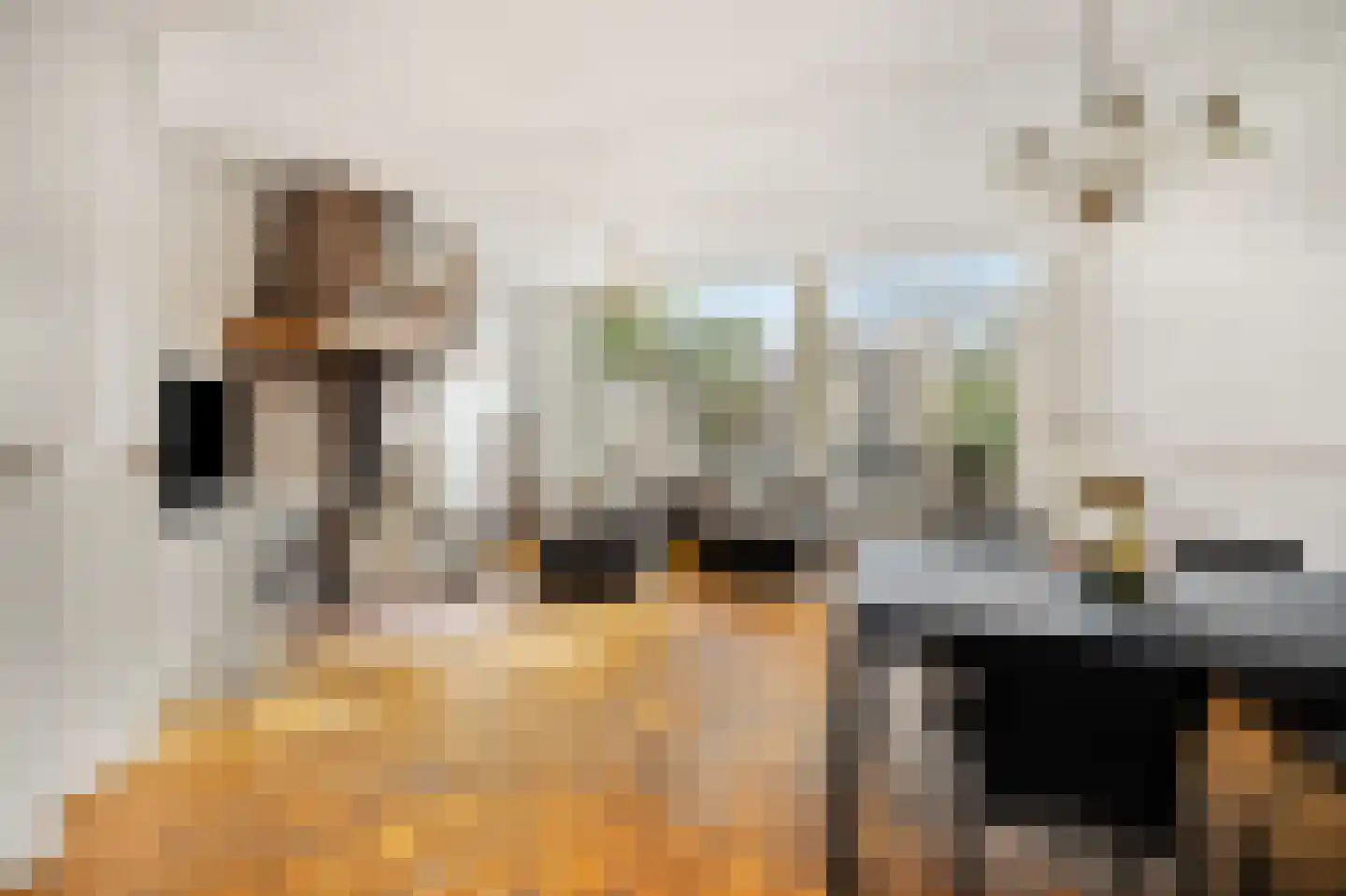 Kruiszwin 3715 Julianadorp thumbnail 5