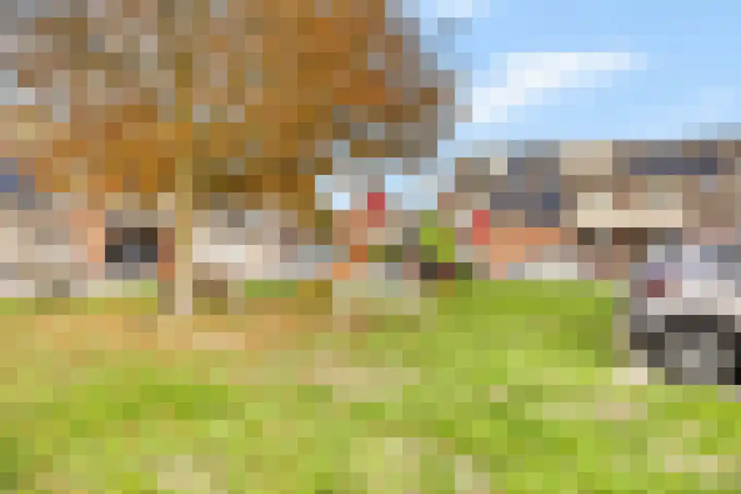 Kruiszwin 3715 Julianadorp thumbnail 8