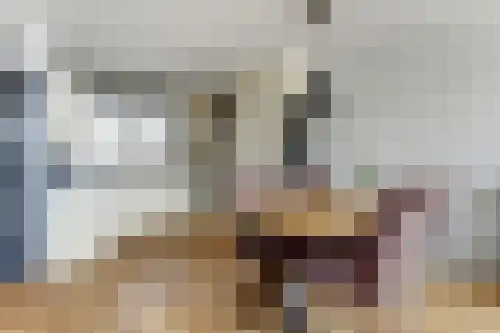 Kruiszwin 3716 Julianadorp thumbnail 12