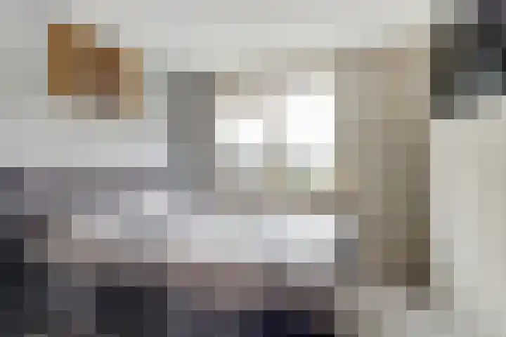 Kruiszwin 3716 Julianadorp thumbnail 14