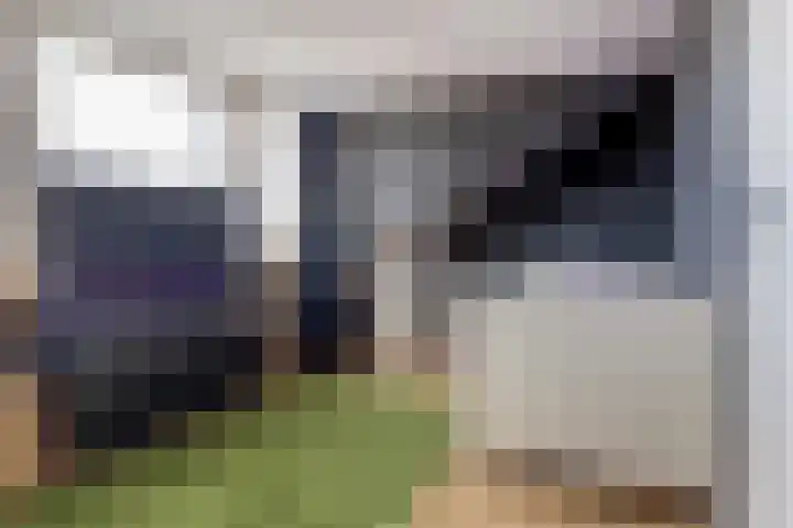 Kruiszwin 3716 Julianadorp thumbnail 25