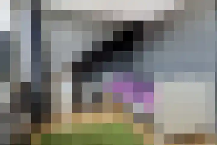 Kruiszwin 3716 Julianadorp thumbnail 26