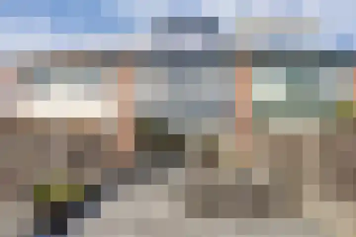 Kruiszwin 3716 Julianadorp thumbnail 29