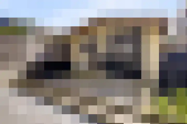 Kruiszwin 3716 Julianadorp thumbnail 30