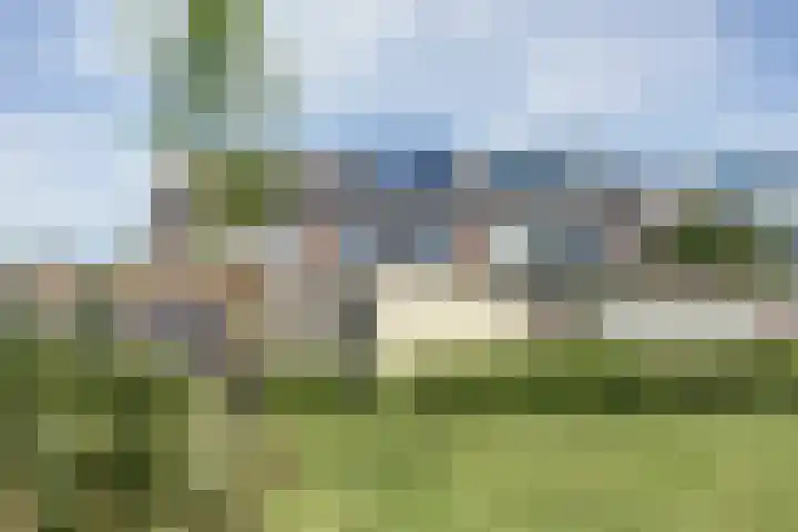 Kruiszwin 3716 Julianadorp thumbnail 31