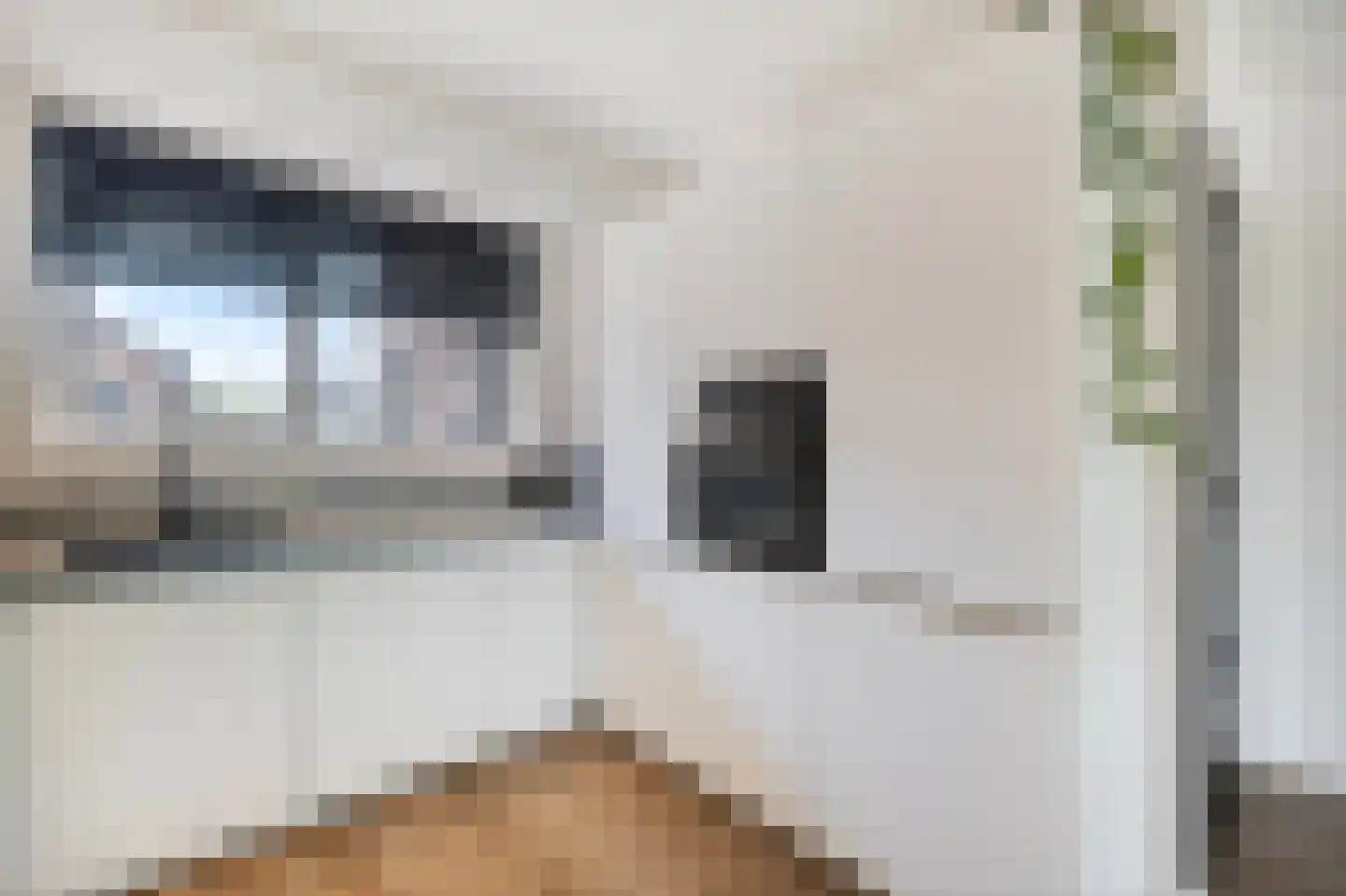 Kruiszwin 3723 Julianadorp thumbnail 12
