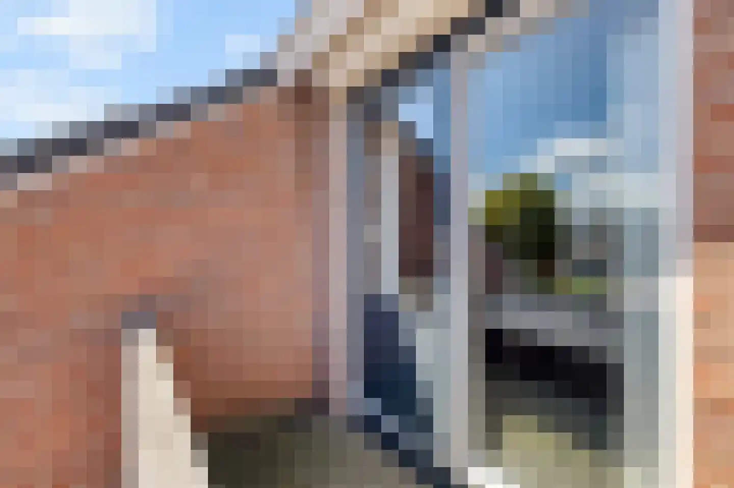 Kruiszwin 3723 Julianadorp thumbnail 17