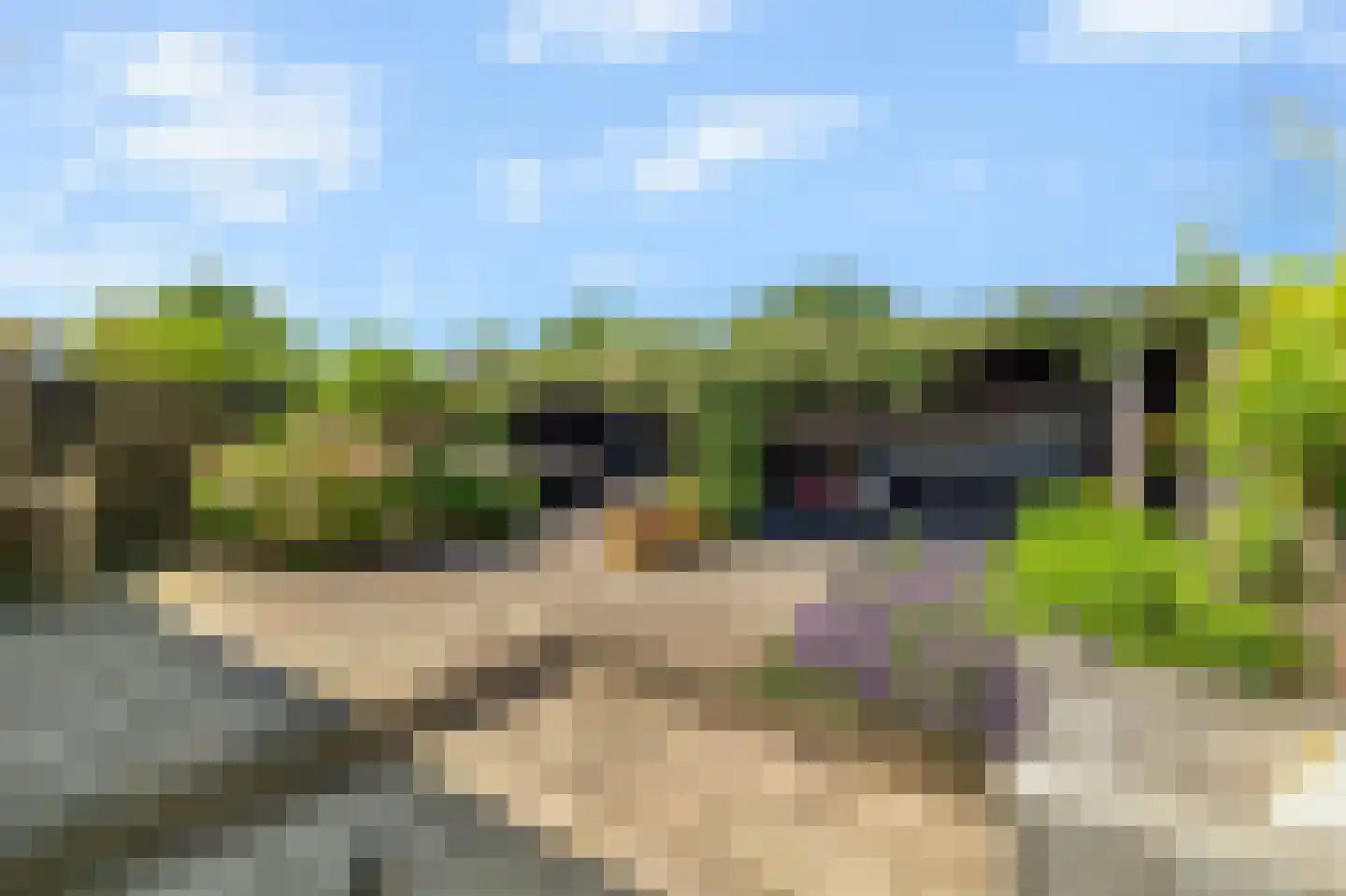 Kruiszwin 3723 Julianadorp thumbnail 33