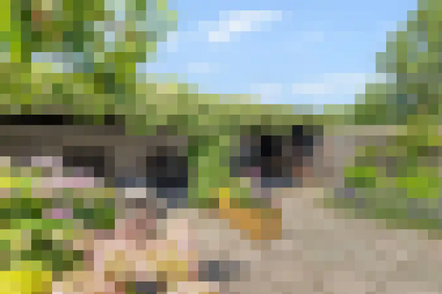 Kruiszwin 3723 Julianadorp thumbnail 35