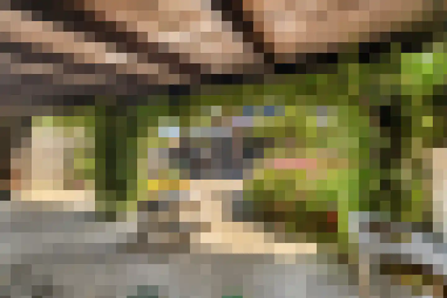 Kruiszwin 3723 Julianadorp thumbnail 37