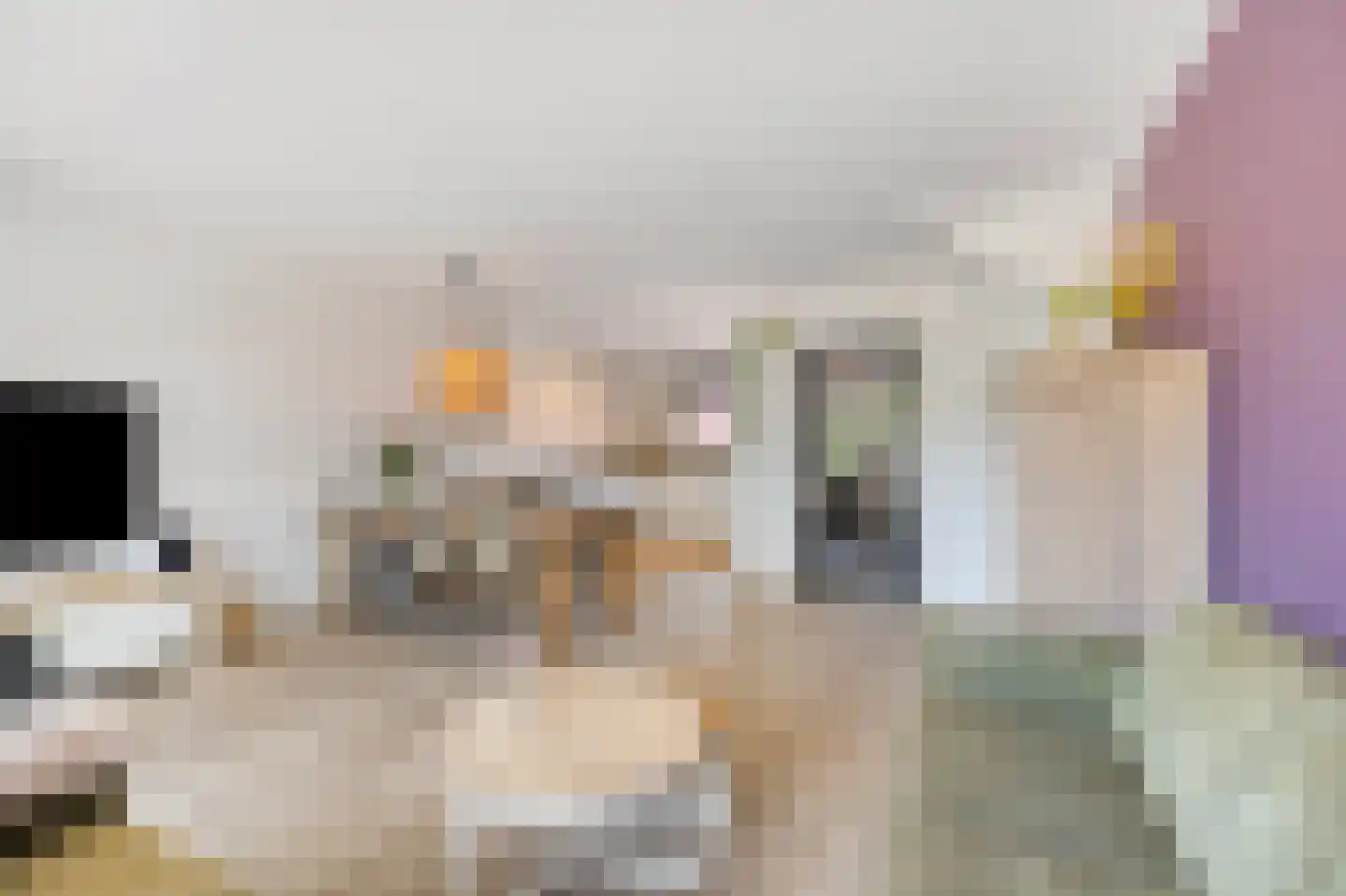 Kruiszwin 3723 Julianadorp thumbnail 7