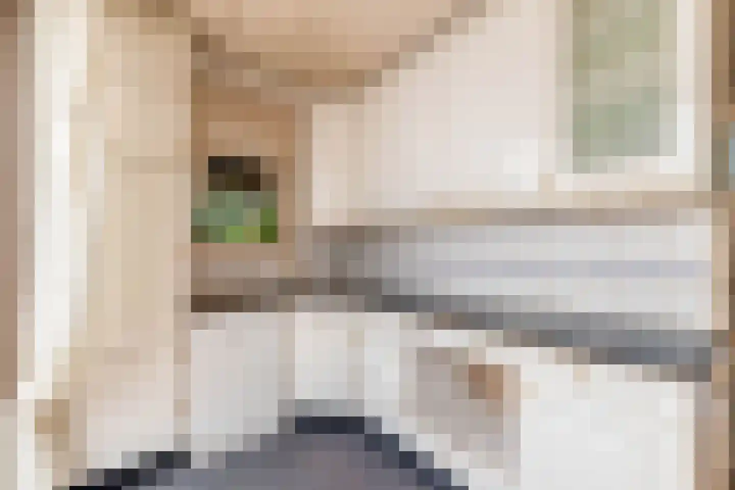 Kruiszwin 3925 Julianadorp thumbnail 16