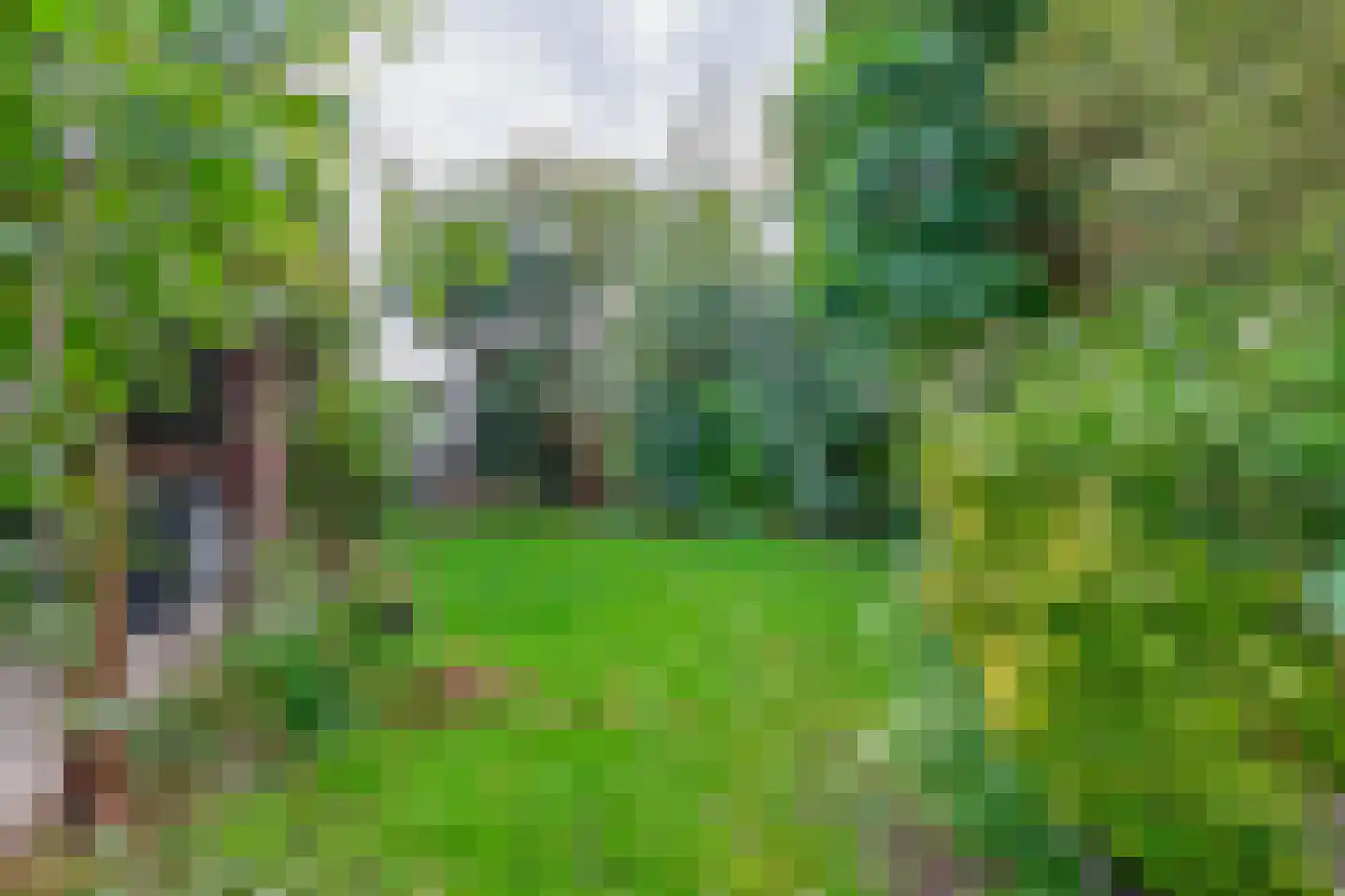 Kruiszwin 3925 Julianadorp thumbnail 19