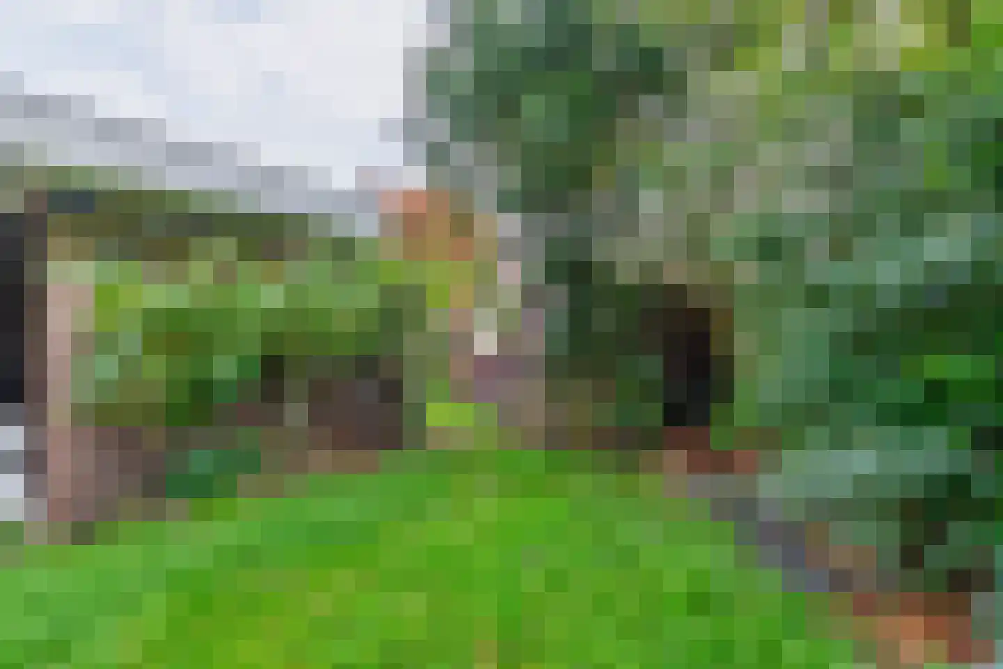 Kruiszwin 3925 Julianadorp thumbnail 20