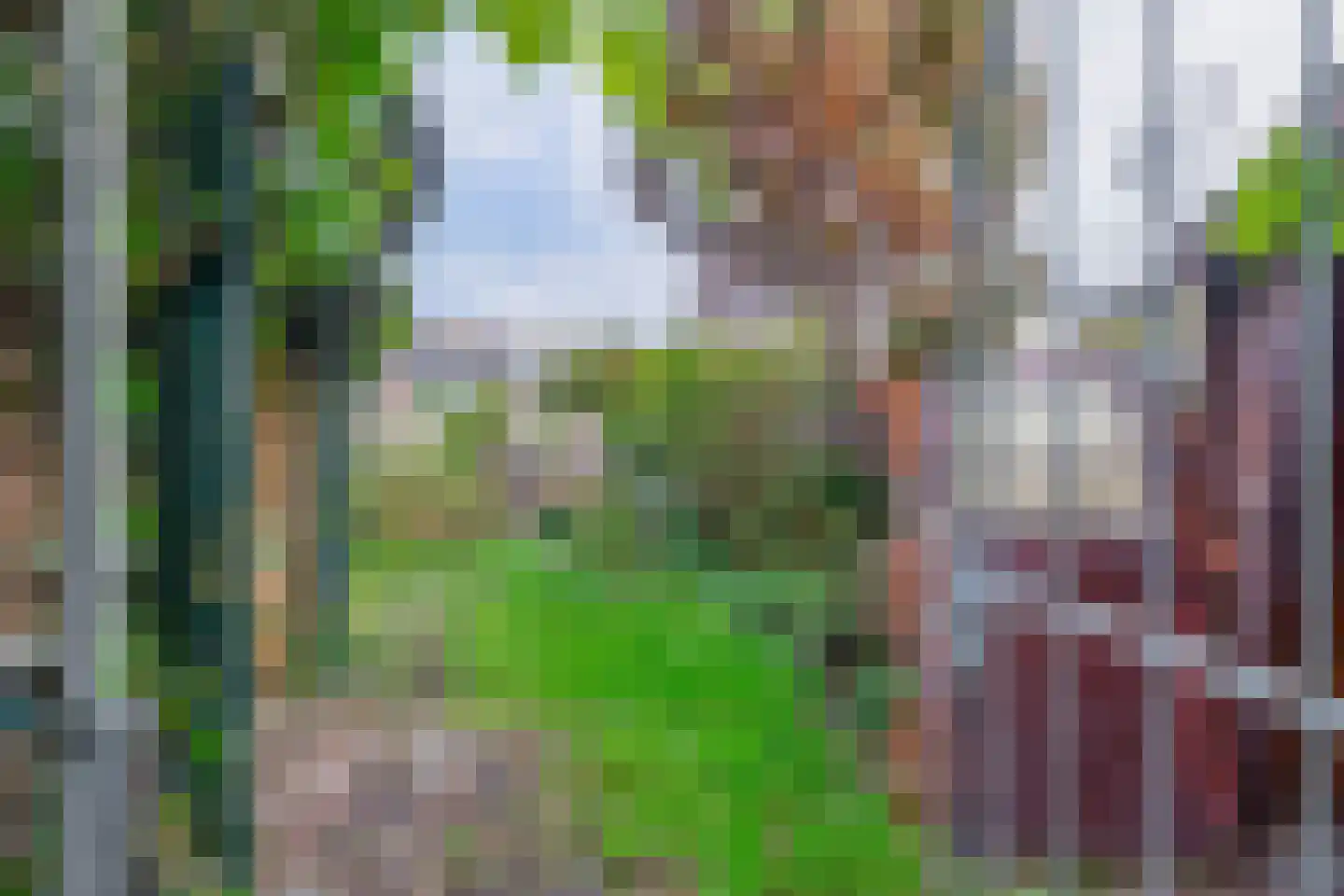 Kruiszwin 3925 Julianadorp thumbnail 21