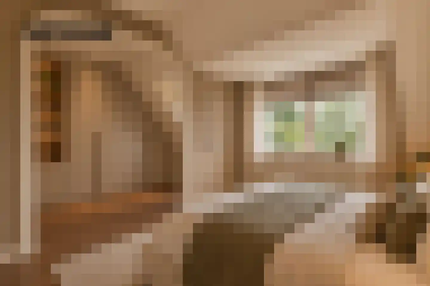 Kruiszwin 3925 Julianadorp thumbnail 25