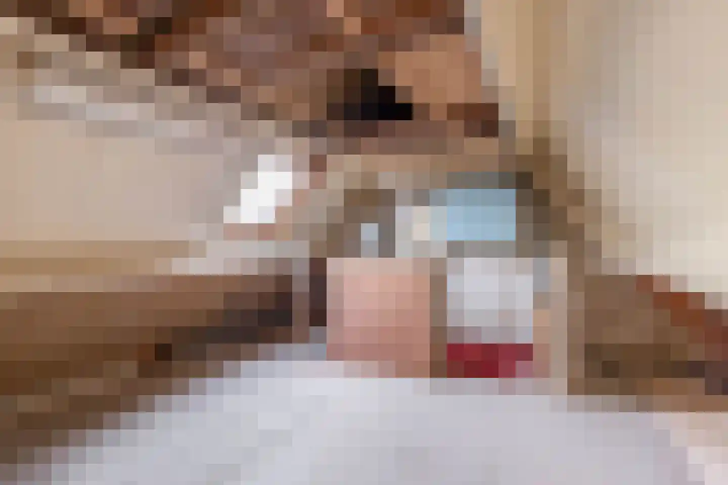 Kruiszwin 3925 Julianadorp thumbnail 29