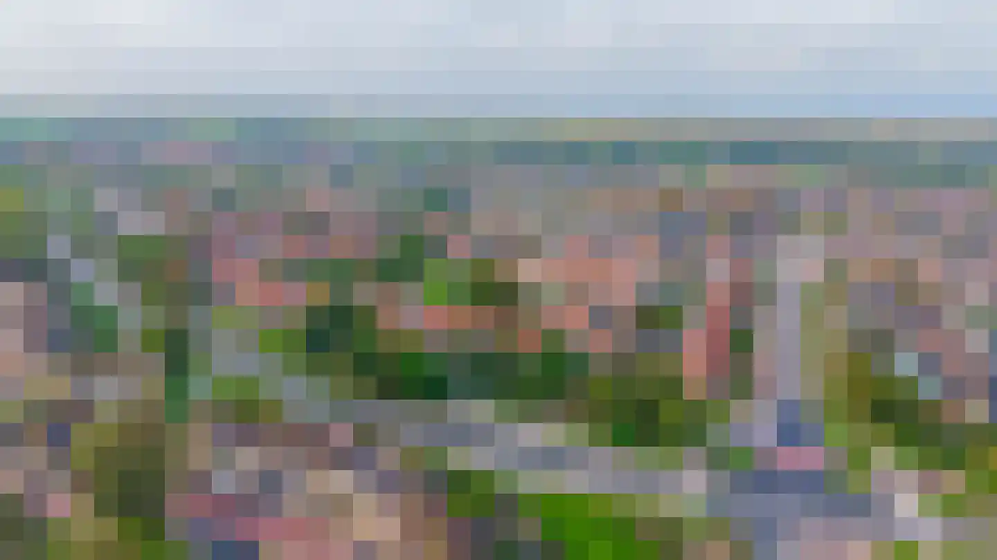 Kruiszwin 3925 Julianadorp thumbnail 31