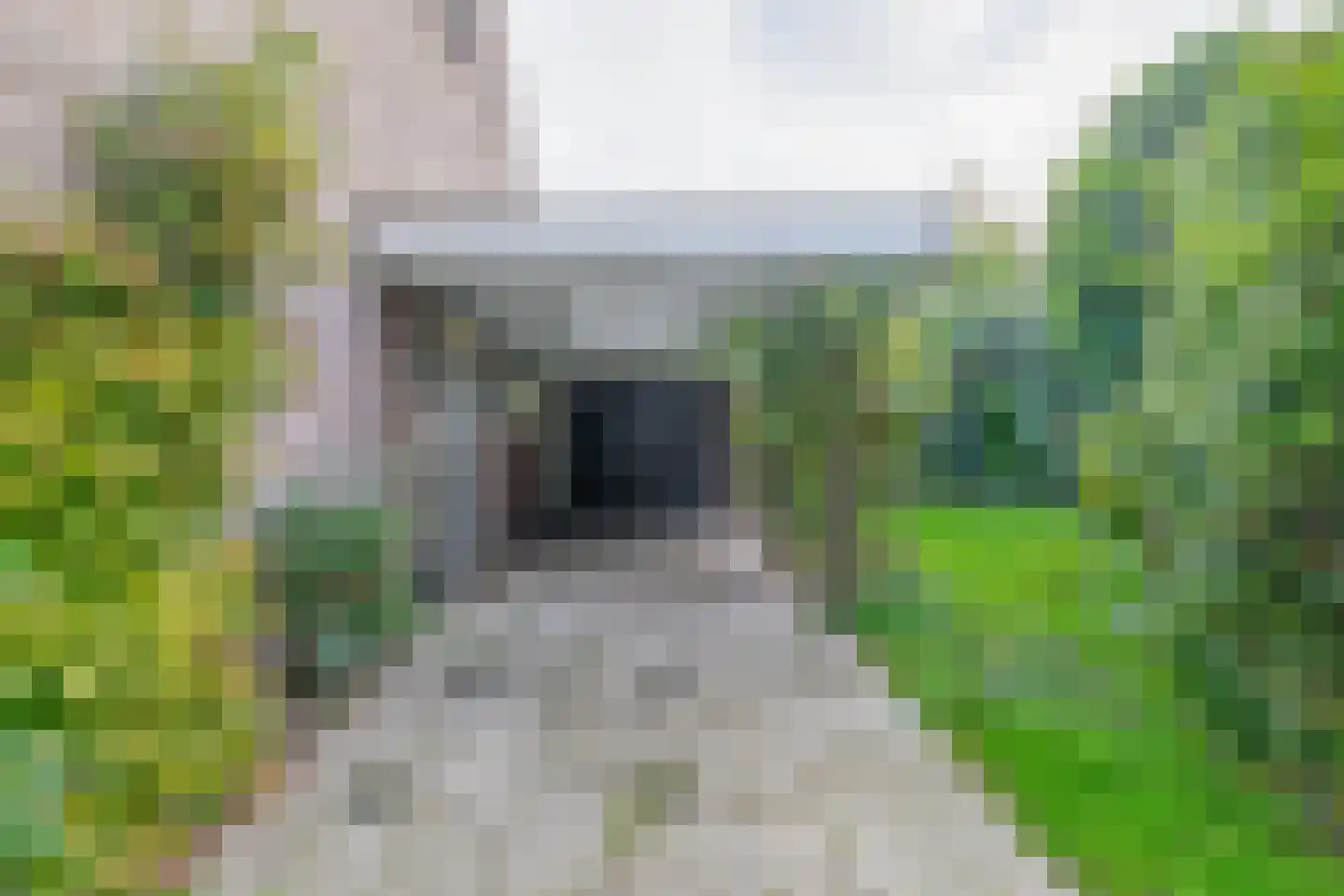 Kruiszwin 3925 Julianadorp thumbnail 5