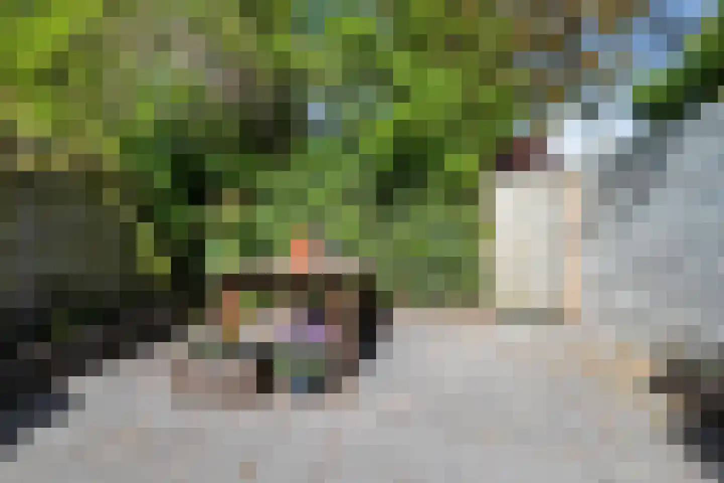 Kruiszwin 4127 Julianadorp thumbnail 23