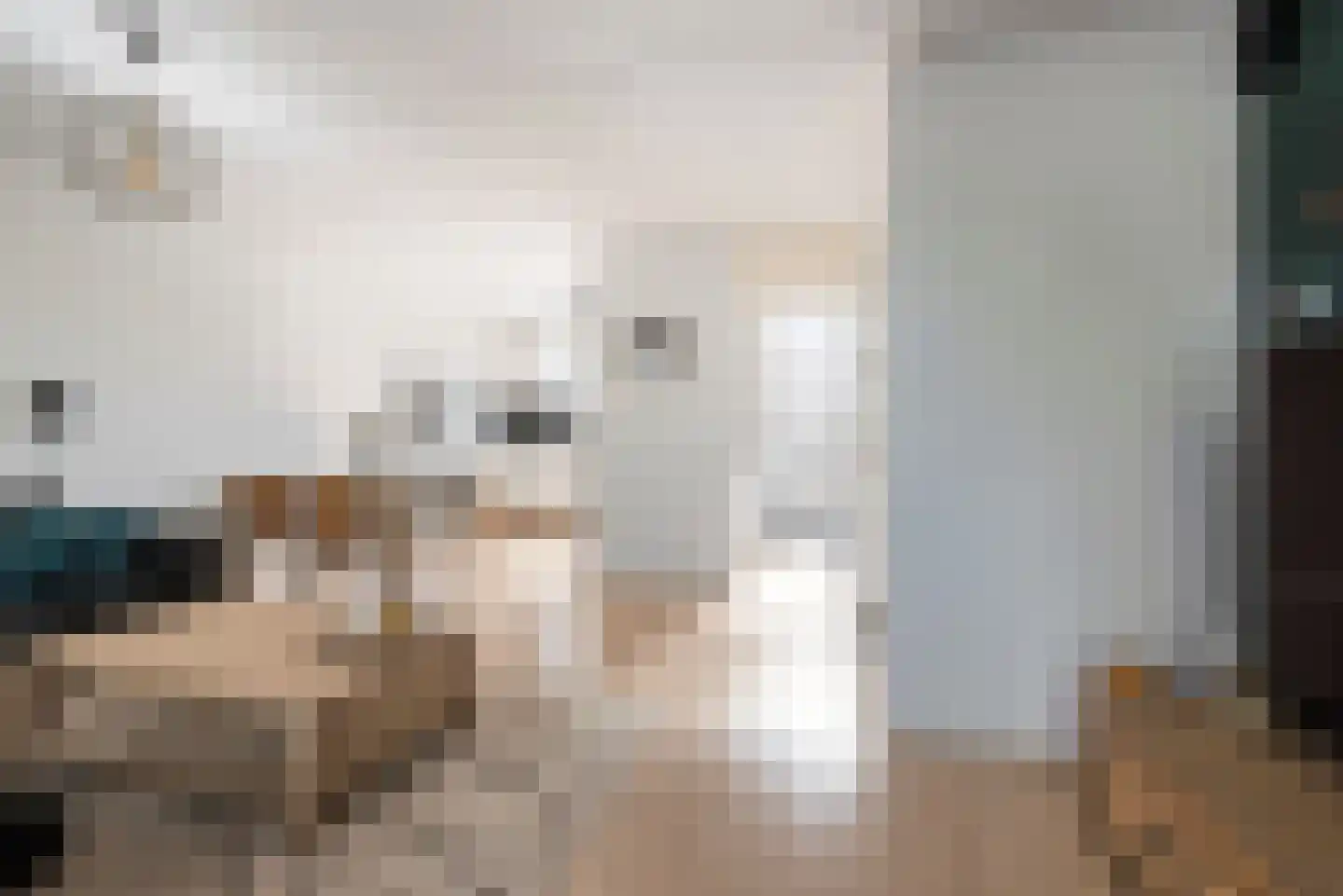 Kruiszwin 4127 Julianadorp thumbnail 9