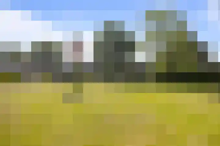 Kruiszwin 4142 Julianadorp thumbnail 17