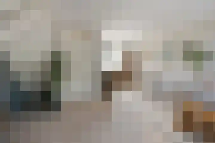 Kruiszwin 4142 Julianadorp thumbnail 4