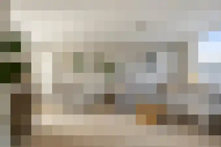 Kruiszwin 4142 Julianadorp thumbnail 6