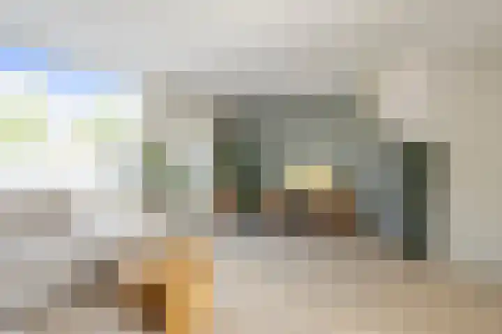 Kruiszwin 4142 Julianadorp thumbnail 8
