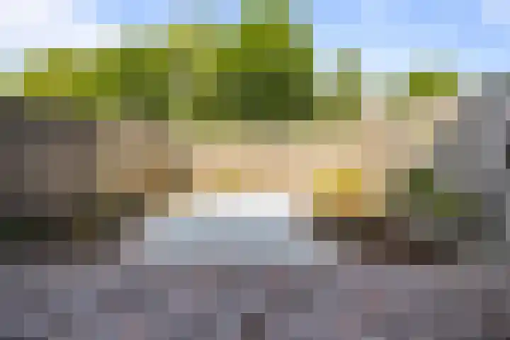 Kruiszwin 4142 Julianadorp thumbnail 9